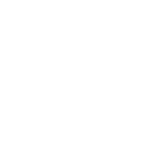 Fly 7